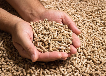 Pellets de qualité choisis pour son chauffage